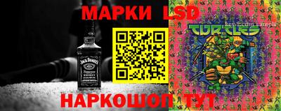 шишки Ставрополь