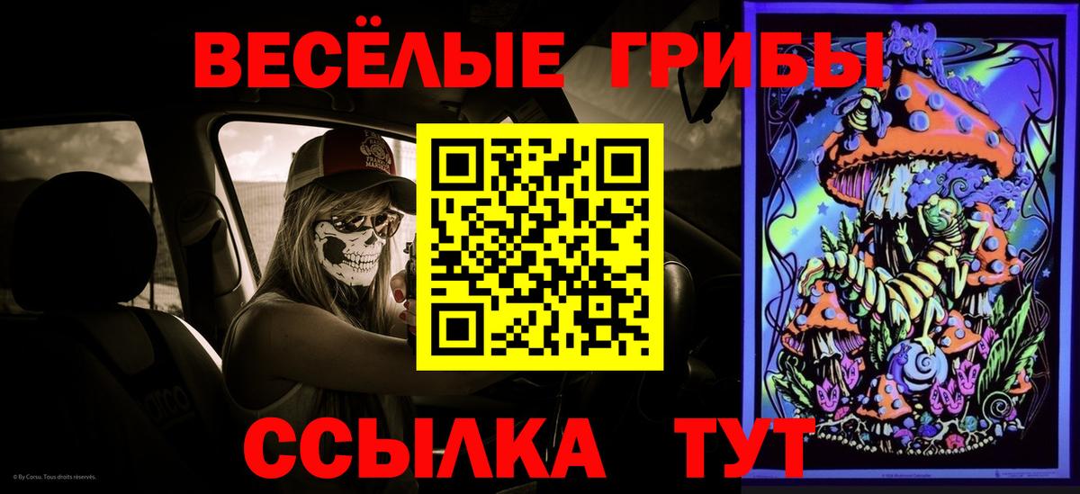 Нижнеудинск  Галлюциногенные грибы MAGIC MUSHROOMS  Вход с VPN 