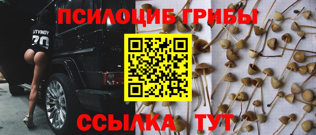 Экстази  Гашиш  Вход с VPN  Alpha PVP СОЛЬ кристаллы  COCAIN  MDMA  Меф  Нижнеудинск  Каннабис  Мефедрон  