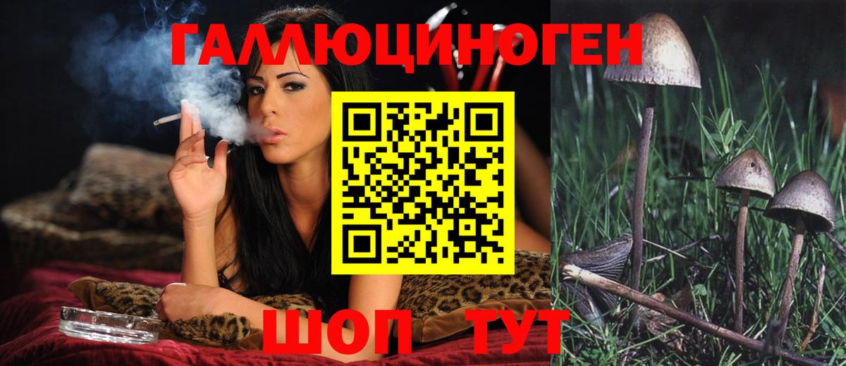 Псилоцибиновые грибы MAGIC MUSHROOMS Нижнеудинск